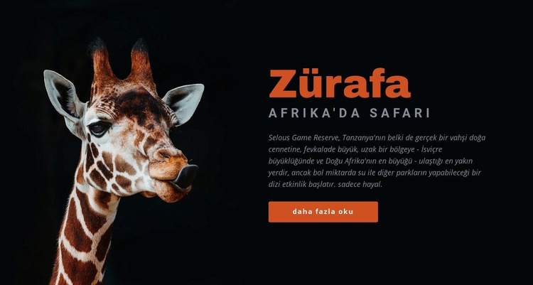 Tanzanya safari 7 gün Bir Sayfa Şablonu