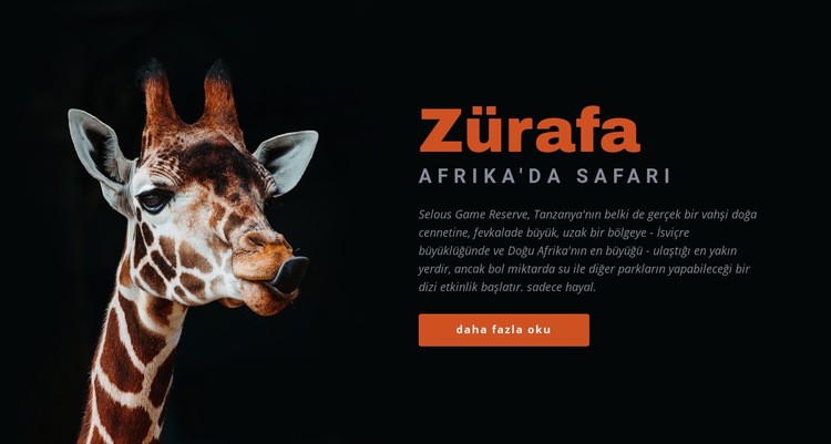 Tanzanya safari 7 gün Web Sitesi Mockup'ı