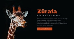 Tanzanya Safari 7 Gün Açılış Sayfası