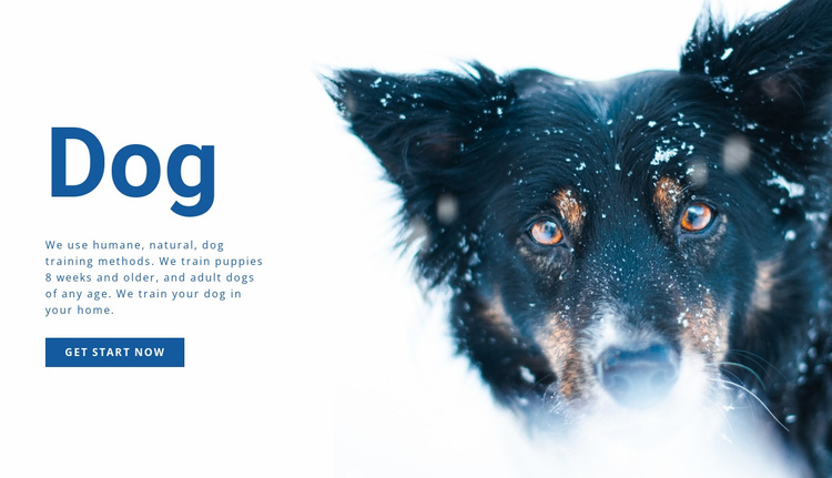 Dog training methods  Website Template