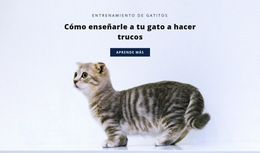 Reglas Básicas Para Gatos: Plantilla De Sitio Web Sencilla