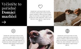 Tipy Na Péči - Webová Šablona