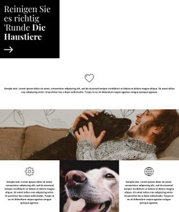 Ein Exklusives Website-Design Für Pflegetipps