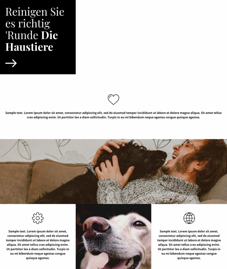 Pflegetipps Website design