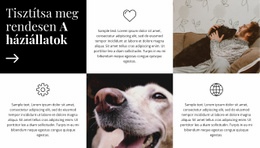 Gondozási Tippek - Websablon