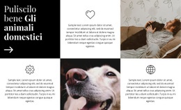 Un Design Esclusivo Del Sito Web Per Suggerimenti Per La Cura