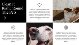 Awesome One Page Template For Care Tips