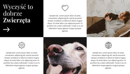 Wskazówki Dotyczące Pielęgnacji