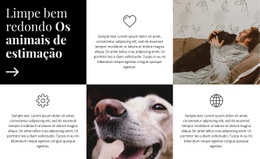 Um Design De Site Exclusivo Para Dicas De Cuidados