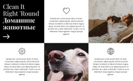 Советы По Уходу – Онлайн-Макет