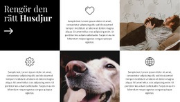 Produktdesigner För Skötseltips