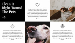 Care Tips -Ready To Use Homepage Design