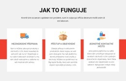 Sport Football School