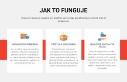 Sport Football School