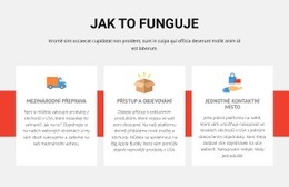 Sport Football School