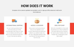 Sport Football School