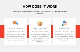 Sport Football School