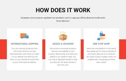 Sport Football School