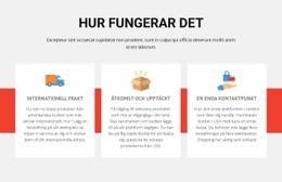 Sport Football School