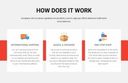 Sport Football School