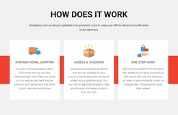 Sport Football School