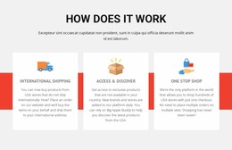 Sport Football School