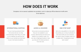 Sport Football School