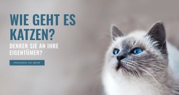 Tierpflege - Vorlagen Website-Design