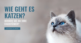 Tierpflege – Fertiges Website-Design