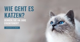 Tierpflege Website-Vorlagen 2021