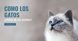 Cuidado De Mascotas: Plantilla De Sitio Web HTML