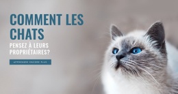 S'Occuper D'Un Animal – Page De Destination HTML5