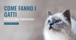 Cura Degli Animali - Design HTML Page Online