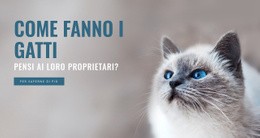 Cura Degli Animali - Progettazione Semplice Del Sito Web