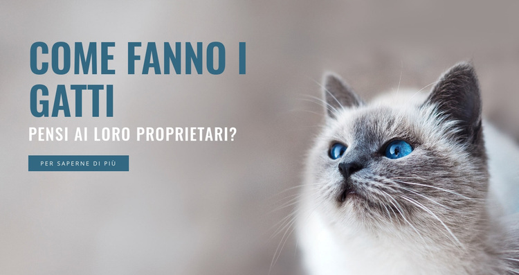 Cura degli animali Tema WordPress