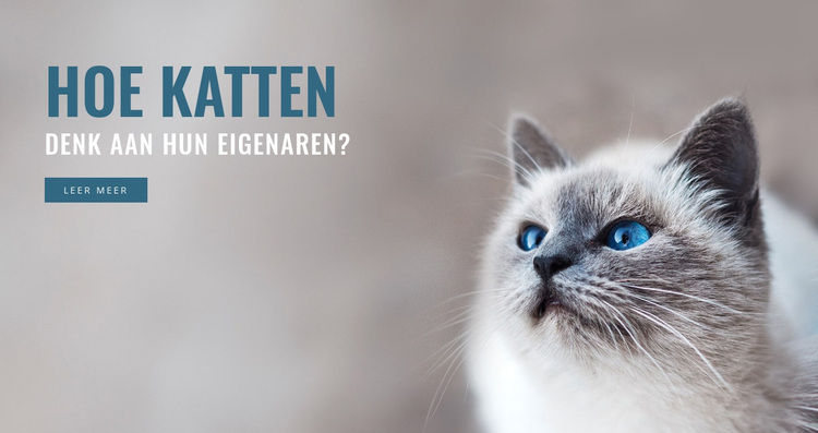 Zorg voor huisdieren WordPress-thema