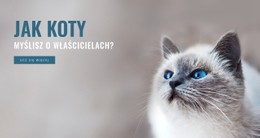 Układ CSS Dla Opieki Nad Zwierzętami