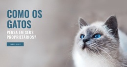 Clínica De Cuidado De Animais Domésticos - Design HTML Page Online