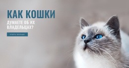 Забота О Животных – Простой Дизайн Сайта