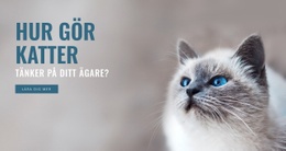 Husdjursvård - Mallar Webbplatsdesign