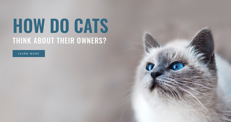 Pet care  Website Builder Templates
