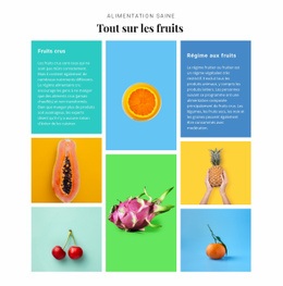Tout Sur Les Fruits - Meilleur Modèle HTML5