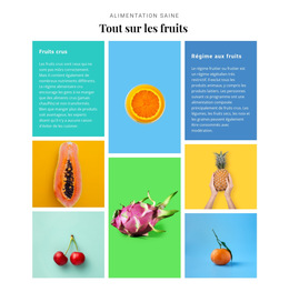 Tout Sur Les Fruits : Modèle De Site Web Simple