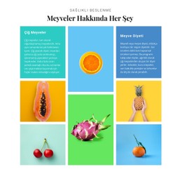 Meyveler Hakkında Her Şey Tablo CSS Şablonu