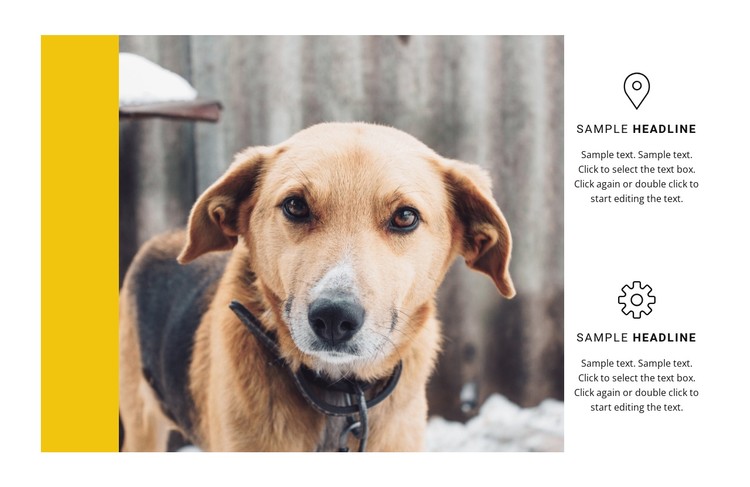 Animal shelter CSS Template