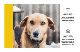 Tierheim – HTML-Website-Layout