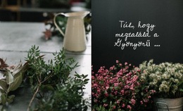 Divat- És Szépségtrendek