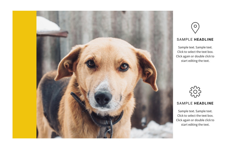 Animal shelter Joomla Template