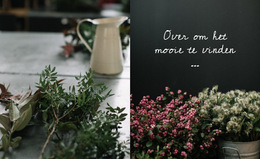 Mode- En Schoonheidstrends - HTML-Sjablooncode