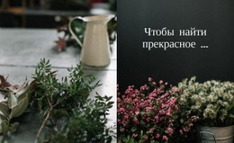 Многоцелевая Тема WordPress Для Тенденции Моды И Красоты